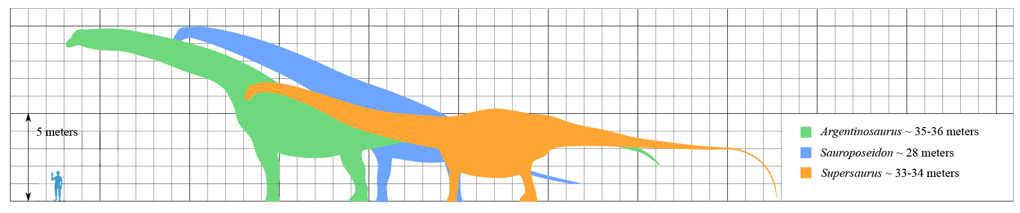 Argentinosaurus