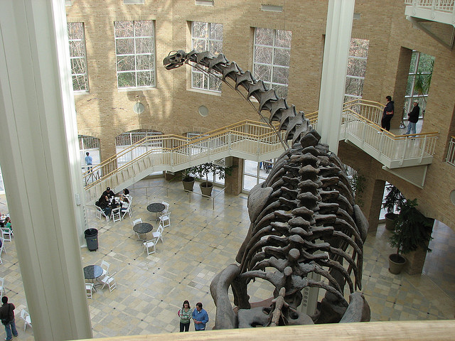 Argentinosaurus