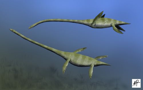 Elasmosaurus