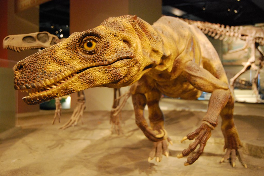 Herrerasaurus