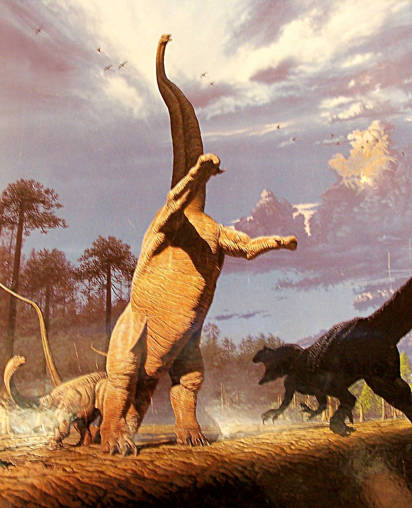Barosaurus ja Allosaurus