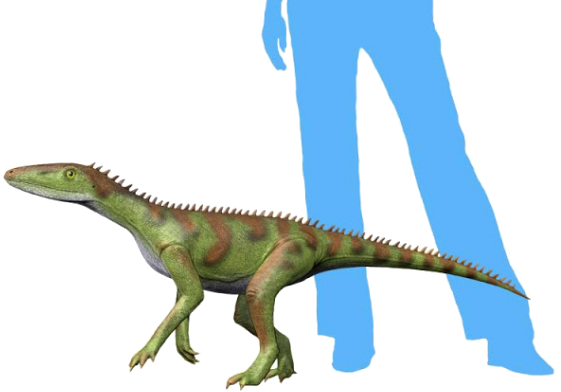 Lewisuchus admixtus