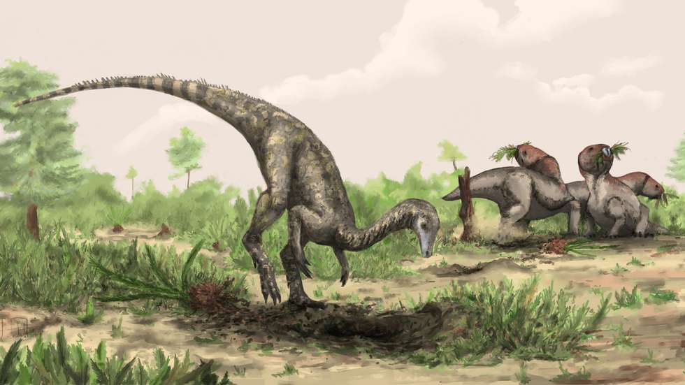Nyasasaurus parringtoni