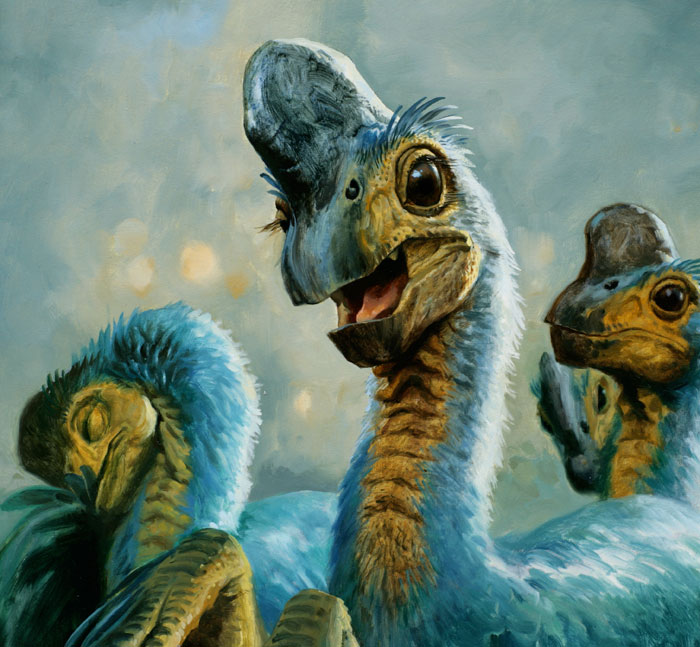 Oviraptorit