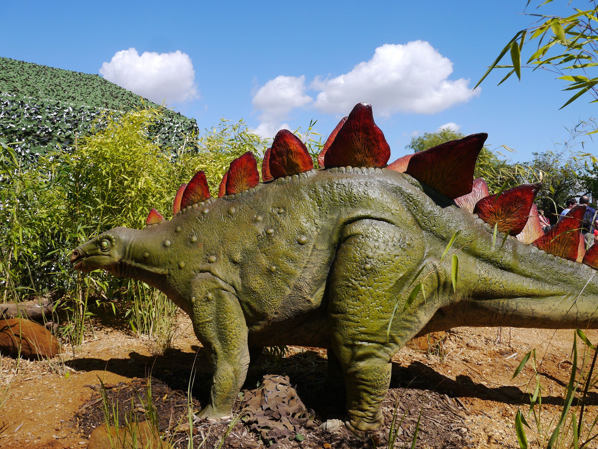 Stegosaurus