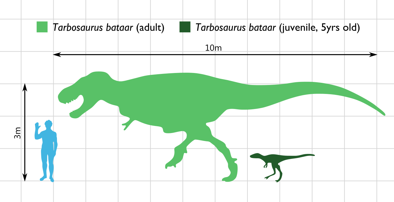 Tarbosaurus