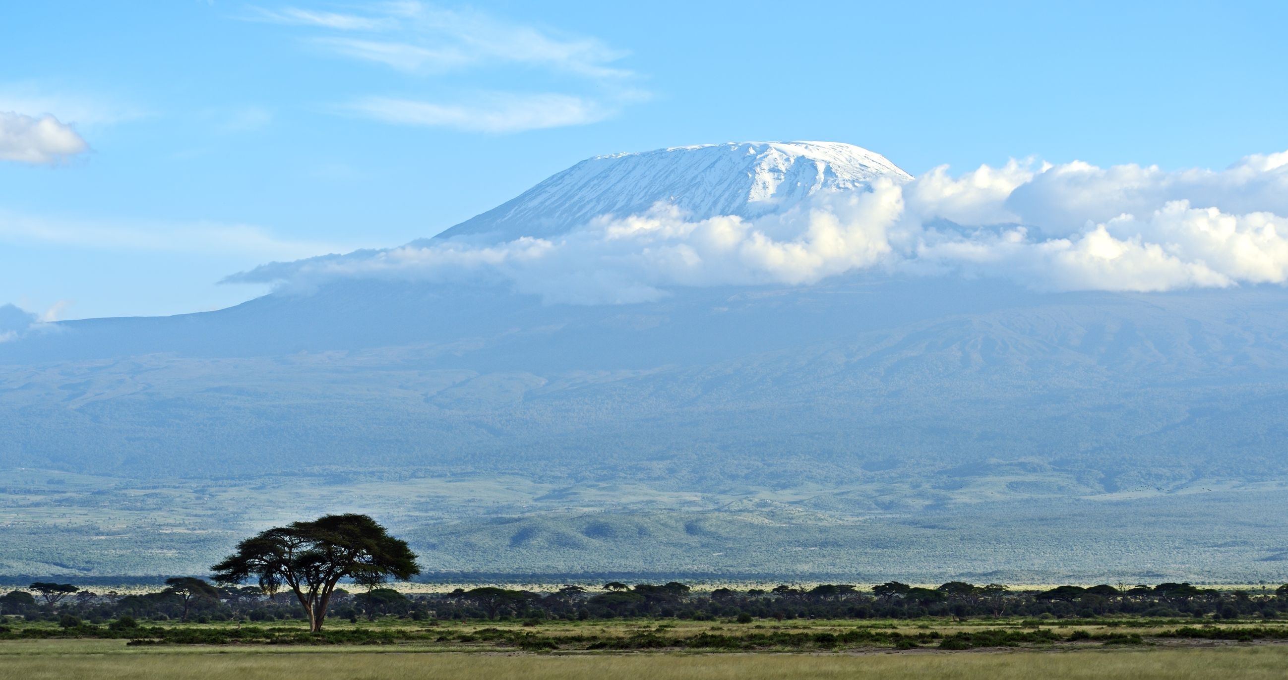 Kilimanjaro