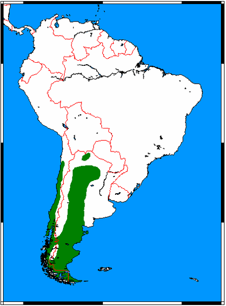 Andienketun levinneisyys