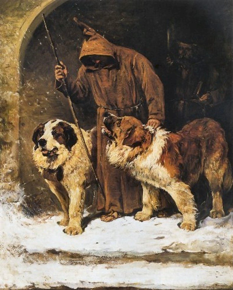 Bernhardinkoira