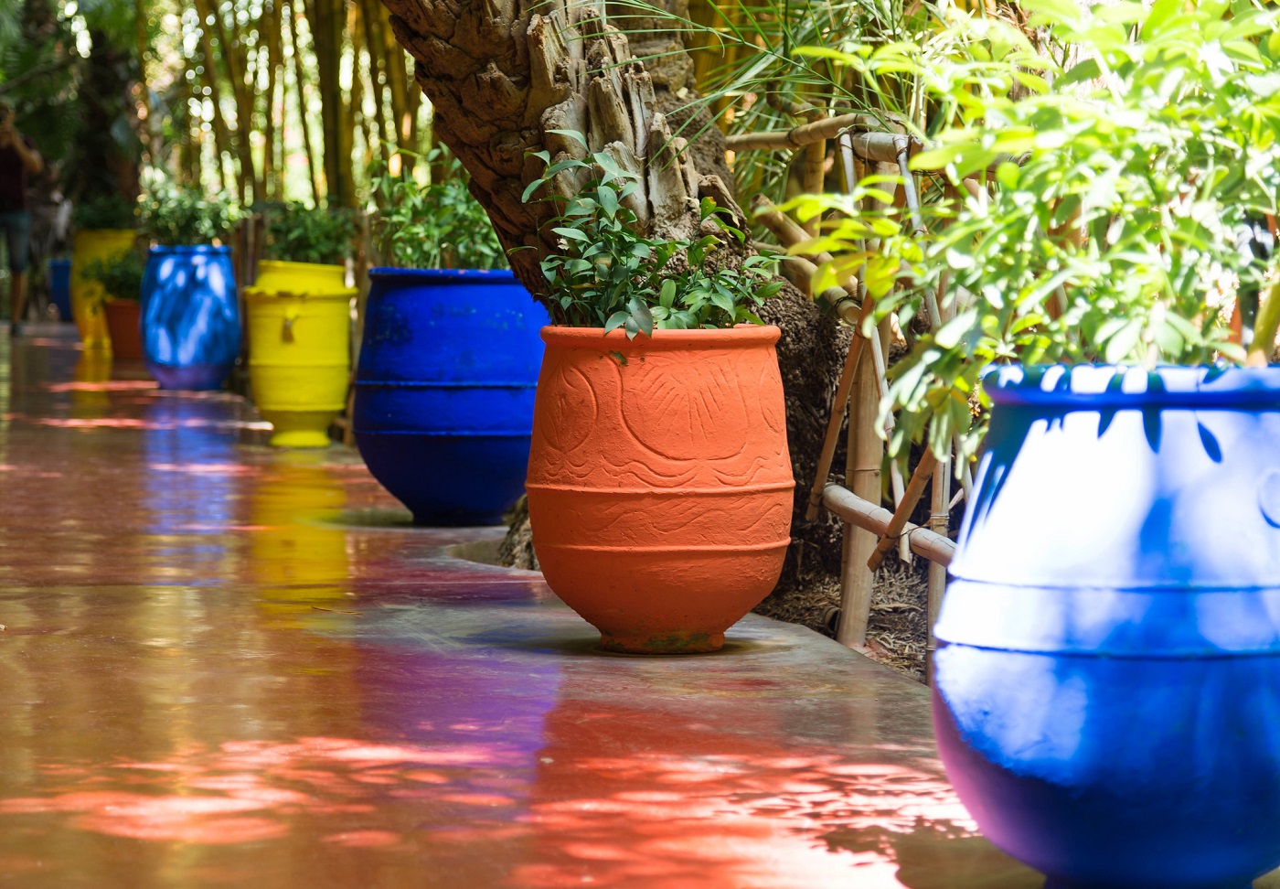 Majorelle