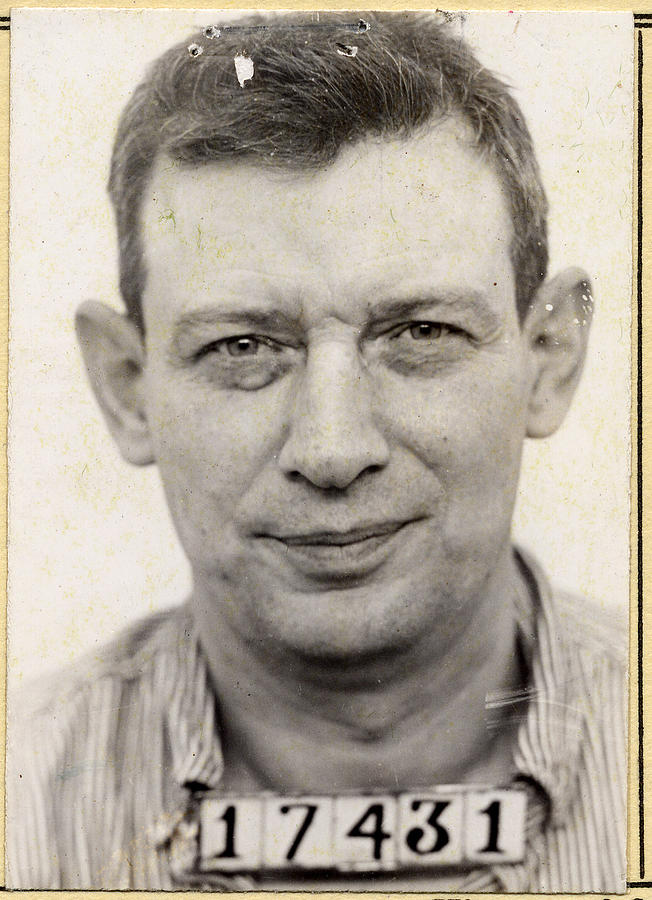 Alcatrazin lintumies