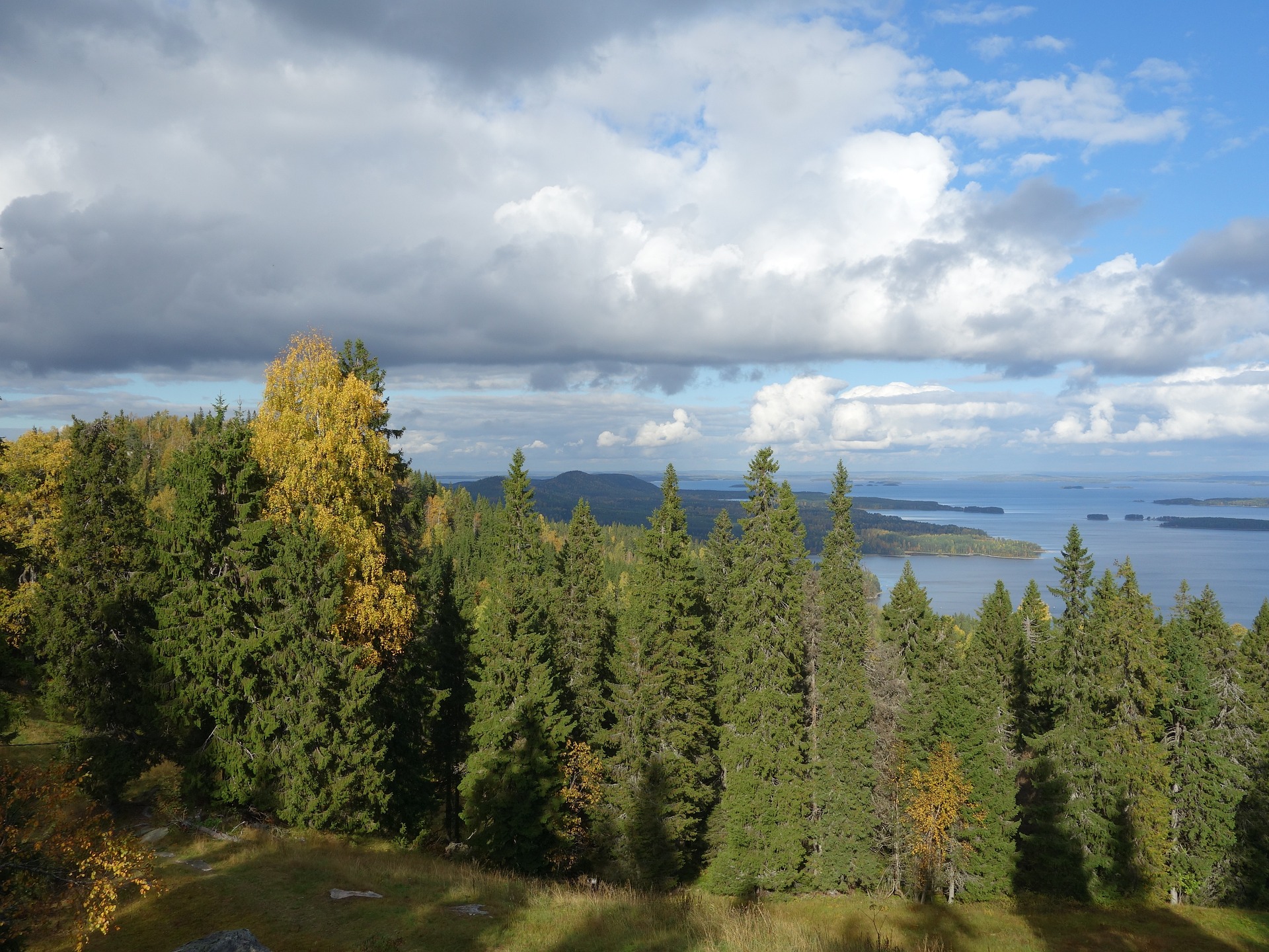 Runovakka
