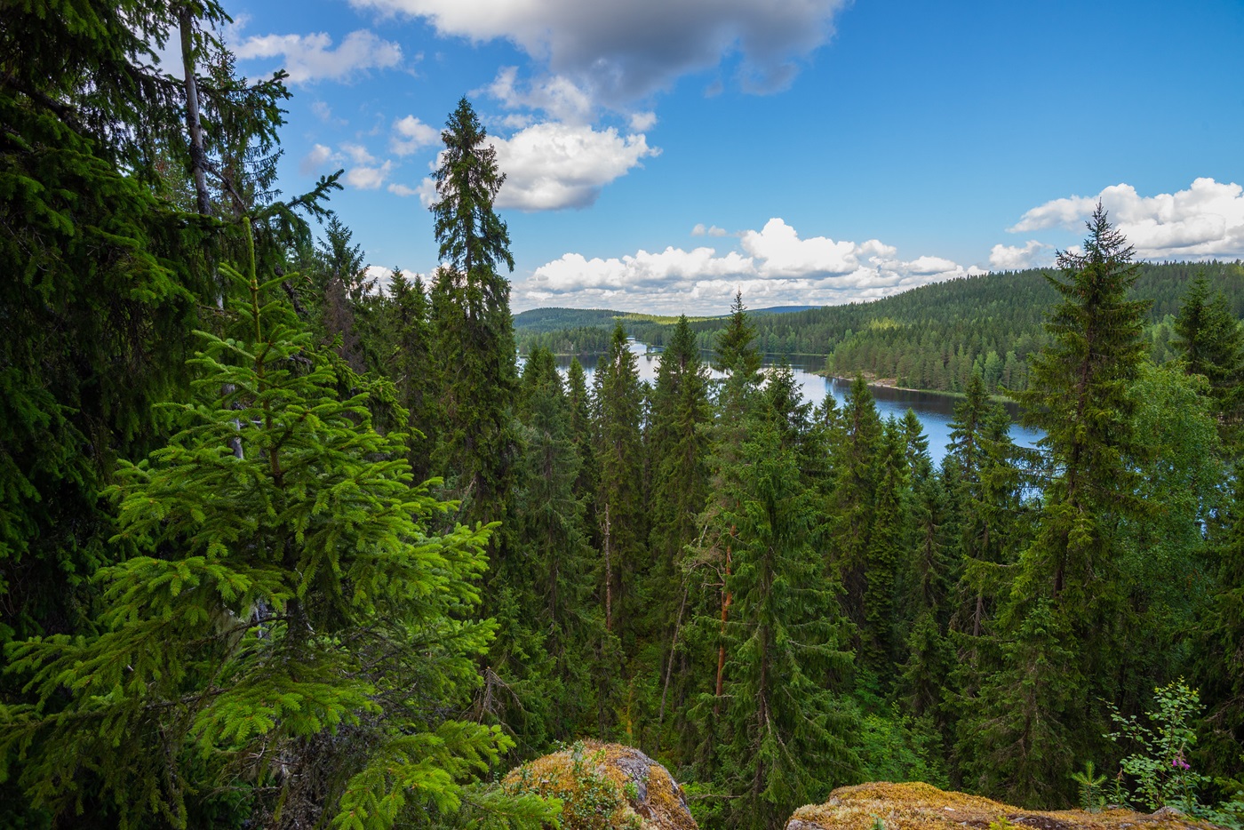 Haminalahti