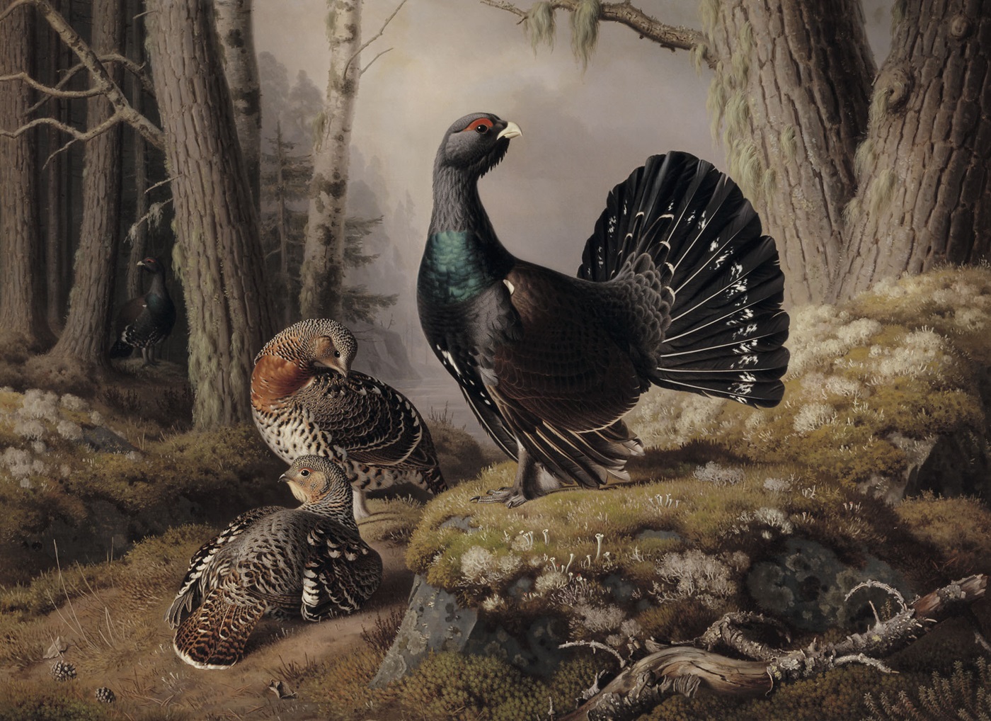 Ferdinand von Wright